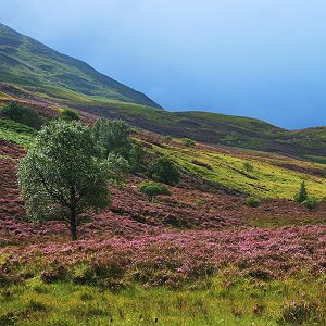 Western Isles Tour